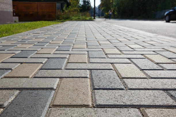 Best Asphalt Driveway Paving in Bagley, MN